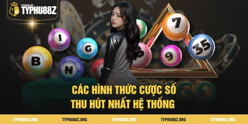Các hình thức cược số thu hút nhất hệ thống 