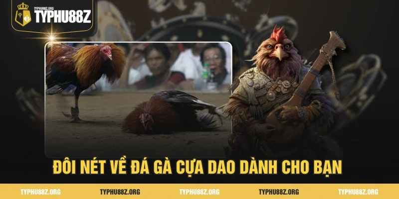 Đôi nét về Đá gà cựa dao dành cho bạn 