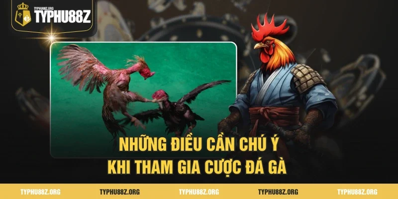 Những điều cần chú ý khi tham gia cược đá gà