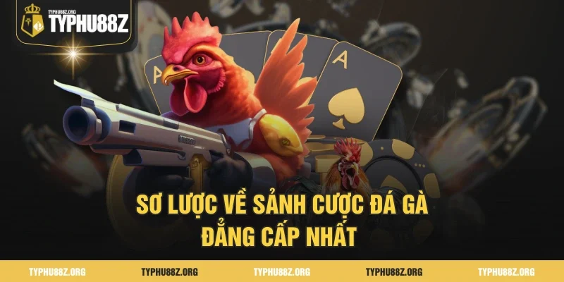 Sơ lược về sảnh cược đá gà đẳng cấp nhất 
